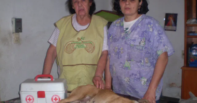 Nuestros inicios